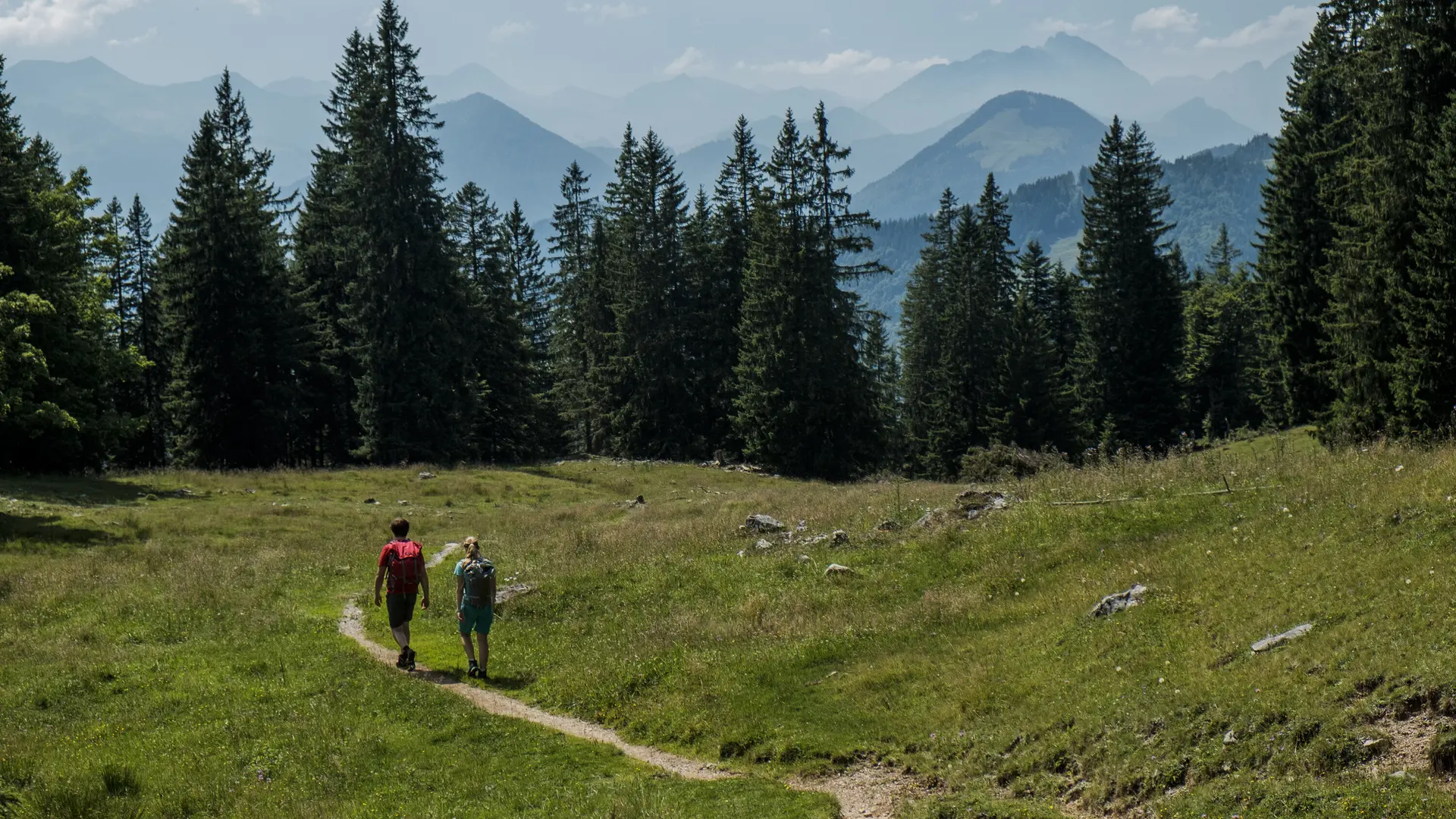 Zwei Wanderer auf einem Bergpfad in den Chiemgauer Alpen | © DAV/Hans Herbig