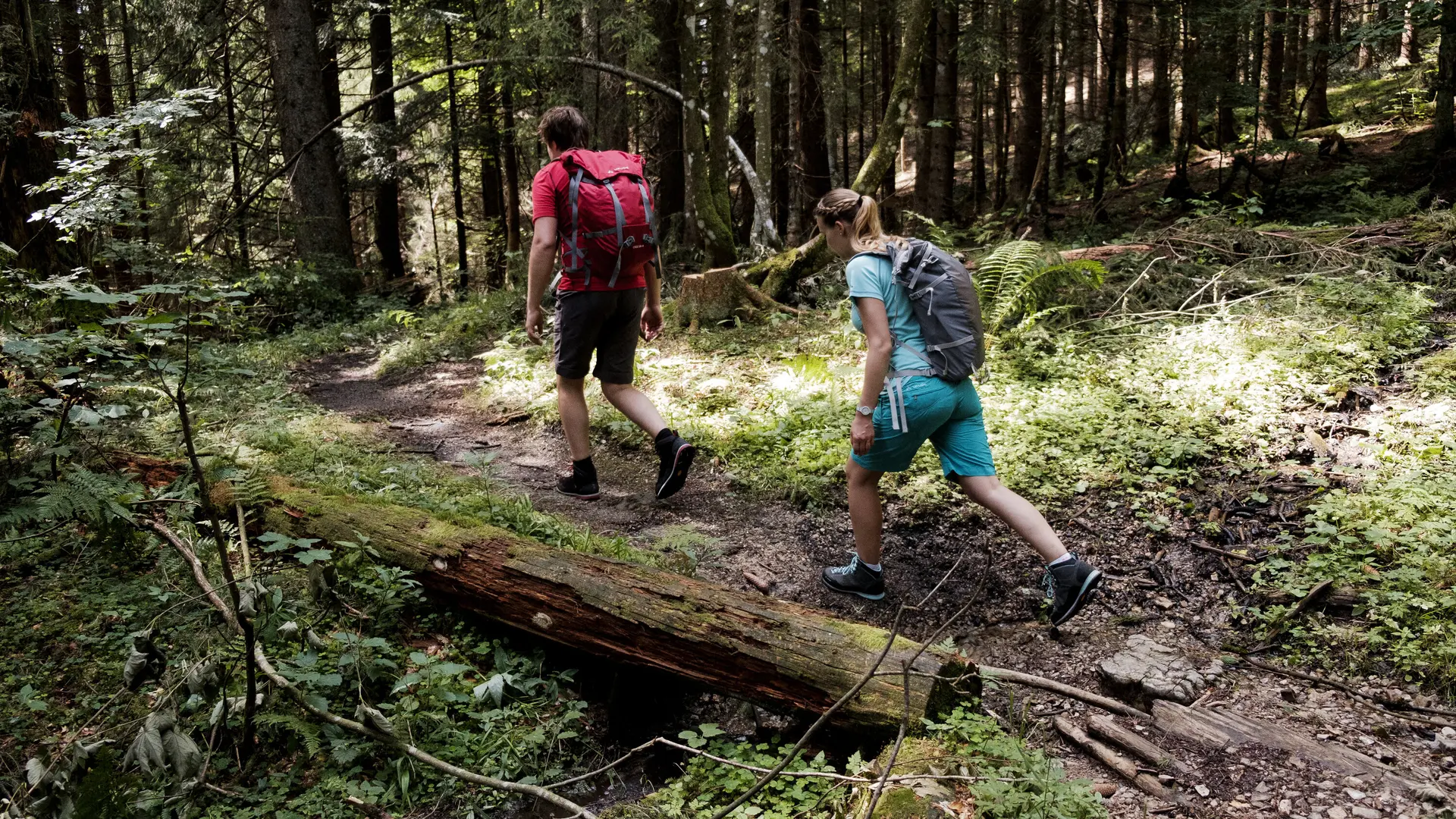 Zwei Wanderer auf dem Weg durch einen Wald | © DAV/Hans Herbig